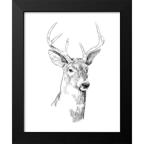 Young Buck Sketch I Black Modern Wood Framed Art Print by Scarvey, Emma