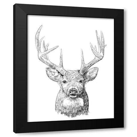 Young Buck Sketch II Black Modern Wood Framed Art Print by Scarvey, Emma