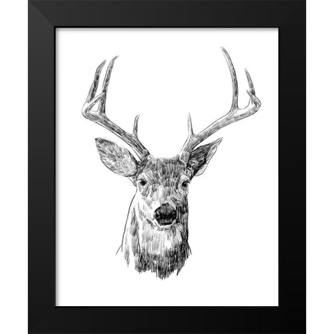 Young Buck Sketch III Black Modern Wood Framed Art Print by Scarvey, Emma