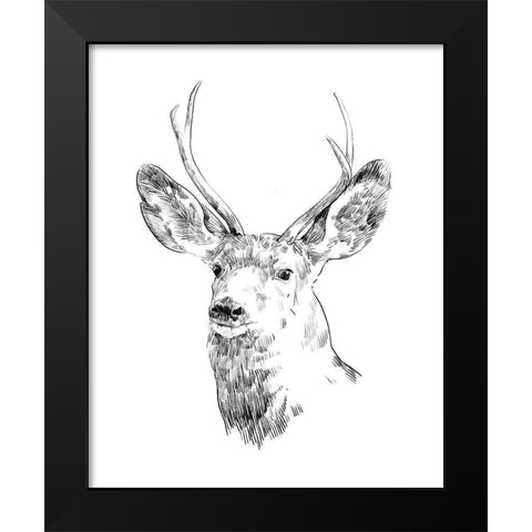 Young Buck Sketch IV Black Modern Wood Framed Art Print by Scarvey, Emma