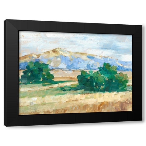 Sunny Field II Black Modern Wood Framed Art Print with Double Matting by Harper, Ethan