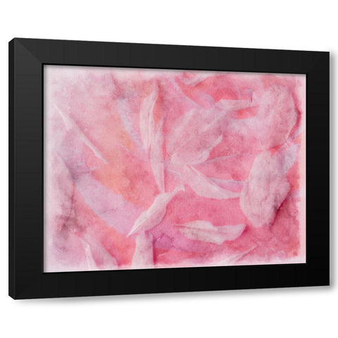 Coral Essence I Black Modern Wood Framed Art Print with Double Matting by Bane, Eva