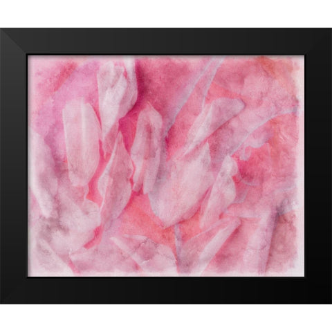 Coral Essence II Black Modern Wood Framed Art Print by Bane, Eva
