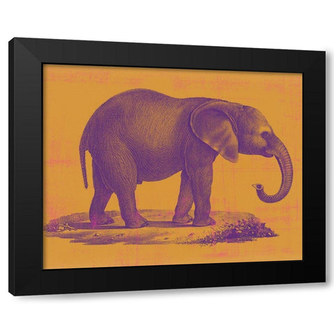 Safari Pop I Black Modern Wood Framed Art Print with Double Matting by Studio W