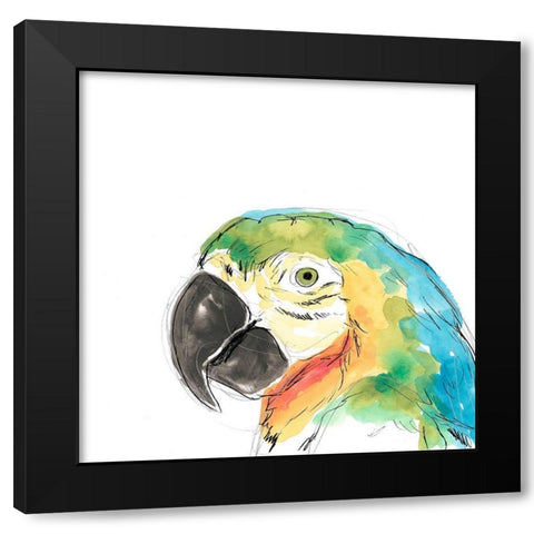 Tropical Bird Portrait I Black Modern Wood Framed Art Print with Double Matting by Vess, June Erica