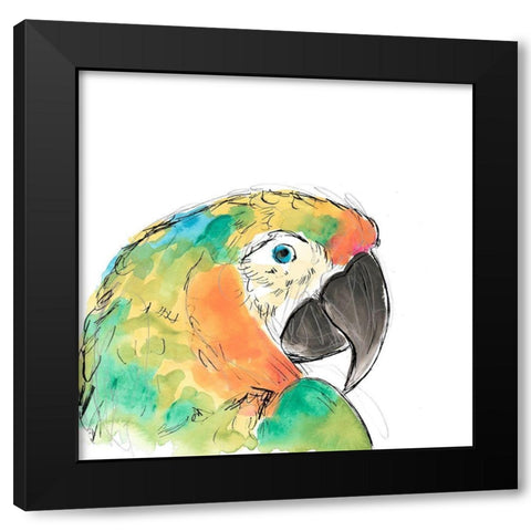 Tropical Bird Portrait IV Black Modern Wood Framed Art Print by Vess, June Erica