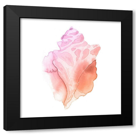 Sunset Conch I Black Modern Wood Framed Art Print with Double Matting by Green, Jacob