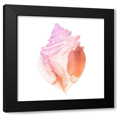 Sunset Conch II Black Modern Wood Framed Art Print with Double Matting by Green, Jacob