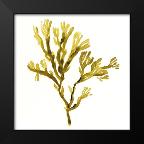 Suspended Seaweed I Black Modern Wood Framed Art Print by Green, Jacob