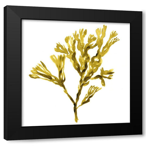 Suspended Seaweed II Black Modern Wood Framed Art Print by Green, Jacob