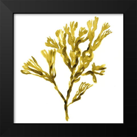 Suspended Seaweed II Black Modern Wood Framed Art Print by Green, Jacob