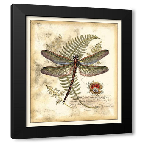 Regal Dragonfly I Black Modern Wood Framed Art Print with Double Matting by Vision Studio
