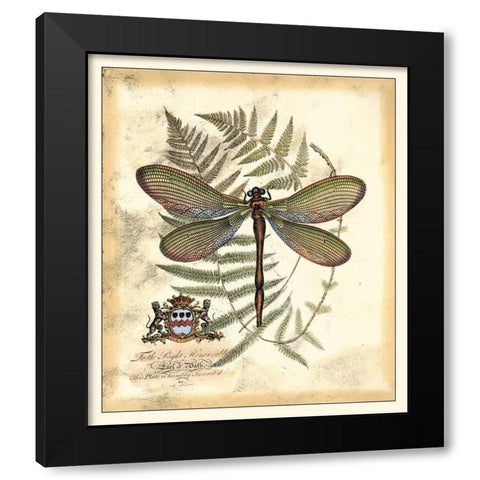 Regal Dragonfly II Black Modern Wood Framed Art Print with Double Matting by Vision Studio