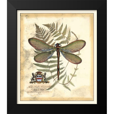 Regal Dragonfly II Black Modern Wood Framed Art Print by Vision Studio