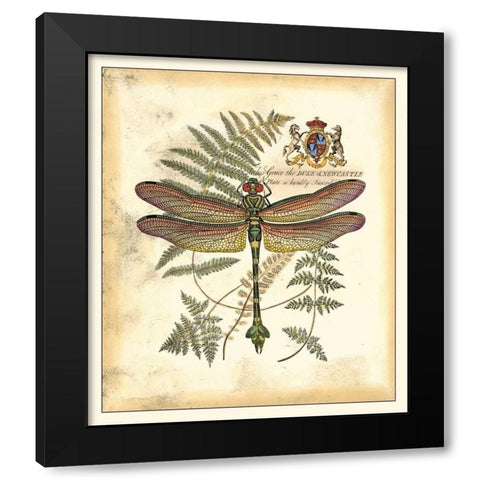 Regal Dragonfly III Black Modern Wood Framed Art Print with Double Matting by Vision Studio