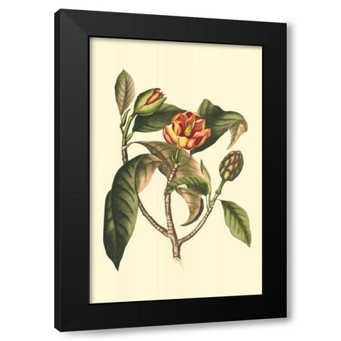 Flourishing Foliage I Black Modern Wood Framed Art Print with Double Matting by Vision Studio