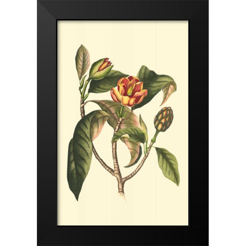 Flourishing Foliage I Black Modern Wood Framed Art Print by Vision Studio