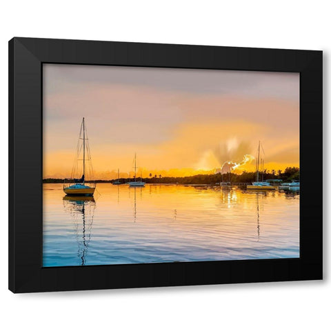 In the Golden Light IV Black Modern Wood Framed Art Print with Double Matting by Kalina, Emily