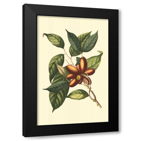 Flourishing Foliage II Black Modern Wood Framed Art Print with Double Matting by Vision Studio