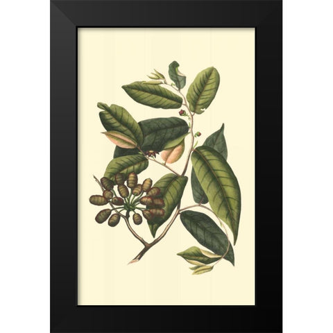 Flourishing Foliage III Black Modern Wood Framed Art Print by Vision Studio