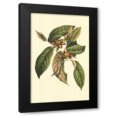 Flourishing Foliage IV Black Modern Wood Framed Art Print with Double Matting by Vision Studio