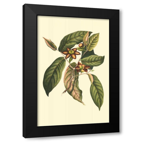 Flourishing Foliage IV Black Modern Wood Framed Art Print by Vision Studio
