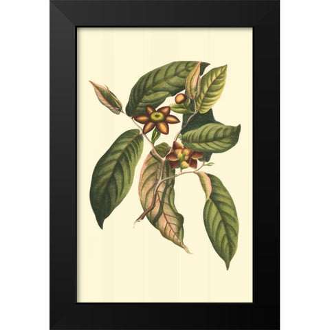 Flourishing Foliage IV Black Modern Wood Framed Art Print by Vision Studio