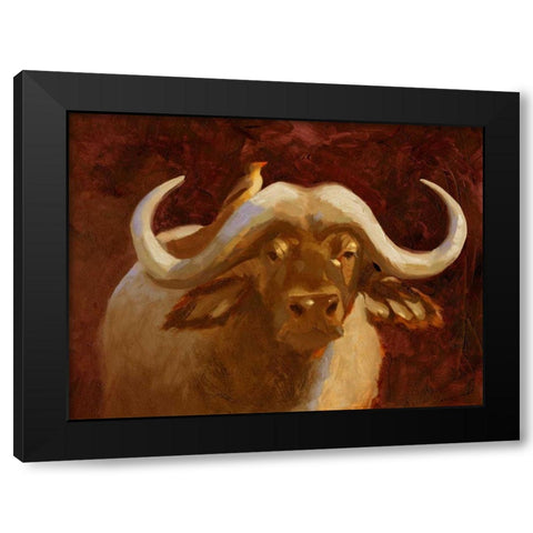 Cape Buffalo I Black Modern Wood Framed Art Print with Double Matting by Green, Jacob