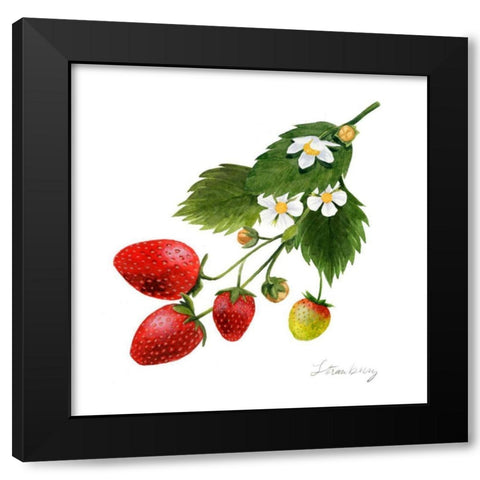 Strawberry Study II Black Modern Wood Framed Art Print by Popp, Grace