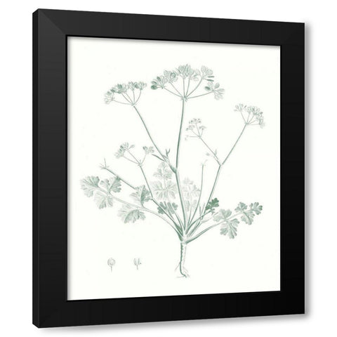 Botanical Study in Sage IV Black Modern Wood Framed Art Print with Double Matting by Vision Studio