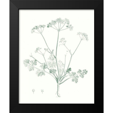Botanical Study in Sage IV Black Modern Wood Framed Art Print by Vision Studio
