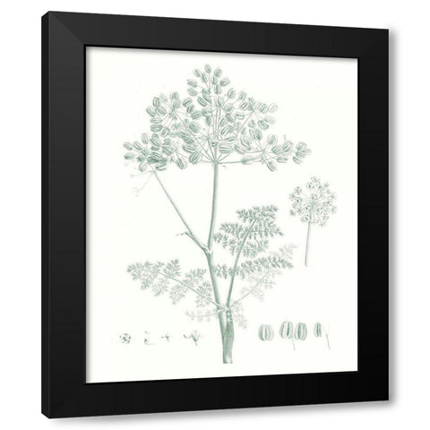 Botanical Study in Sage VI Black Modern Wood Framed Art Print with Double Matting by Vision Studio