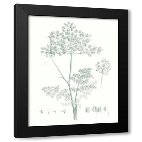 Botanical Study in Sage VI Black Modern Wood Framed Art Print by Vision Studio