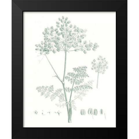 Botanical Study in Sage VI Black Modern Wood Framed Art Print by Vision Studio