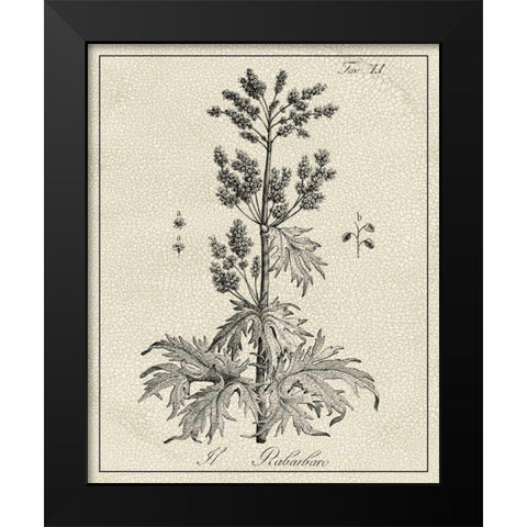 Antique Black and White Botanical III Black Modern Wood Framed Art Print by Vision Studio