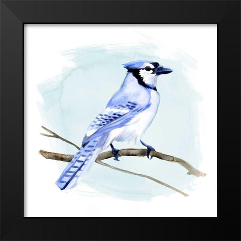 Coastal Blue Jay I Black Modern Wood Framed Art Print by Green, Jacob