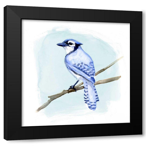 Coastal Blue Jay II Black Modern Wood Framed Art Print with Double Matting by Green, Jacob