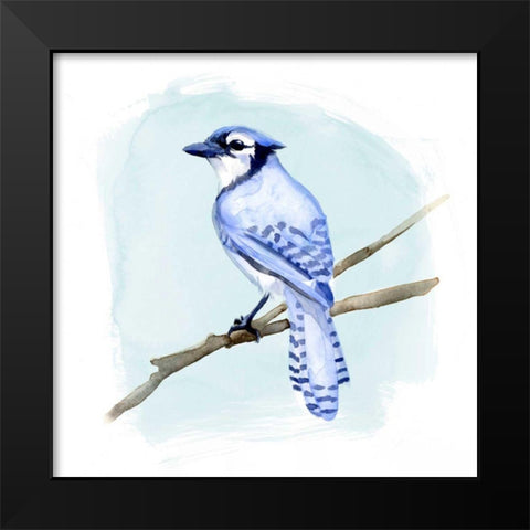 Coastal Blue Jay II Black Modern Wood Framed Art Print by Green, Jacob