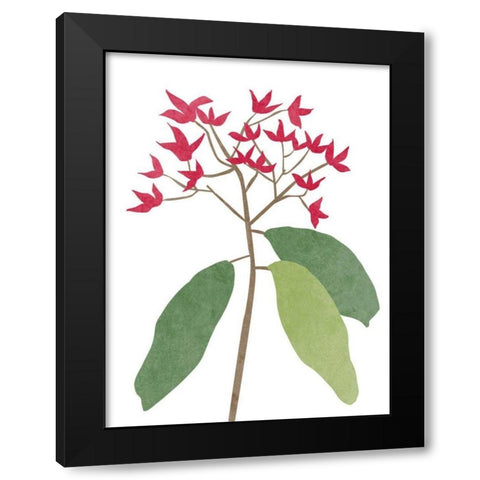 Begonia Stem I Black Modern Wood Framed Art Print by Wang, Melissa