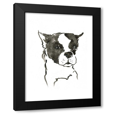 WAG: The Dog V Black Modern Wood Framed Art Print with Double Matting by Binder, Vanessa