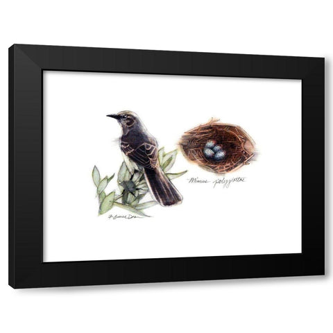 Bird and Nest Study I Black Modern Wood Framed Art Print by Dean, Bruce