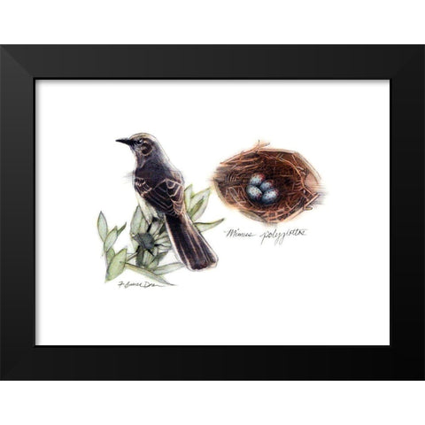 Bird and Nest Study I Black Modern Wood Framed Art Print by Dean, Bruce
