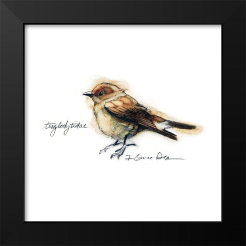 Songbird Study I Black Modern Wood Framed Art Print by Dean, Bruce