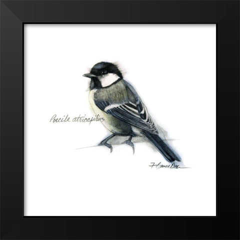 Songbird Study II Black Modern Wood Framed Art Print by Dean, Bruce