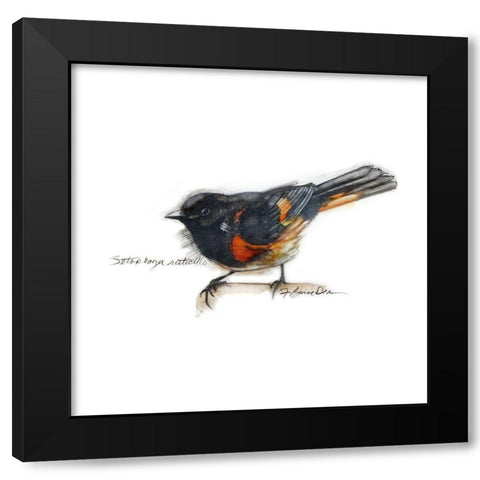 Songbird Study IV Black Modern Wood Framed Art Print with Double Matting by Dean, Bruce