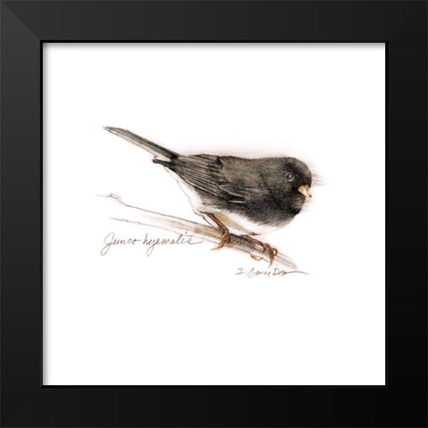 Songbird Study V Black Modern Wood Framed Art Print by Dean, Bruce
