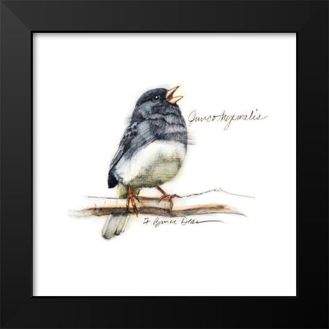 Songbird Study VI Black Modern Wood Framed Art Print by Dean, Bruce