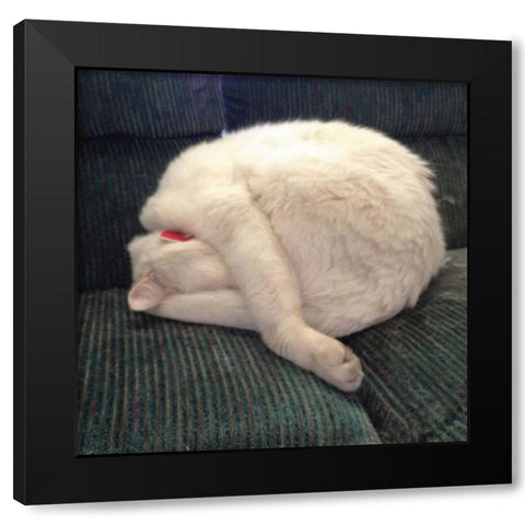 Cat Yoga I Black Modern Wood Framed Art Print by Nob, R.