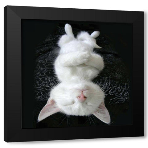 Cat Yoga III Black Modern Wood Framed Art Print by Nob, R.