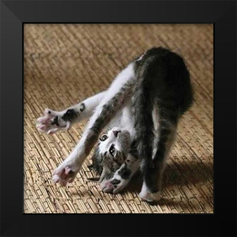 Cat Yoga IV Black Modern Wood Framed Art Print by Nob, R.